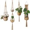 Plant Hangers