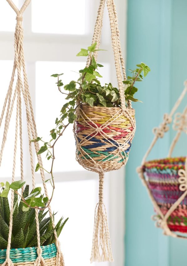 Plant Hangers