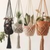 Plant Hangers