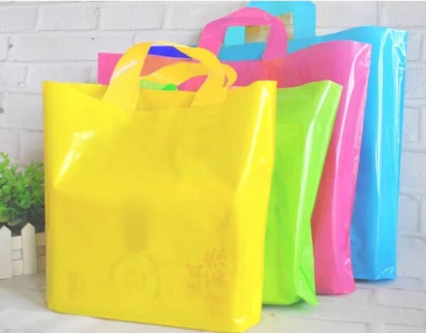 Poly Bag (100 Pieces)